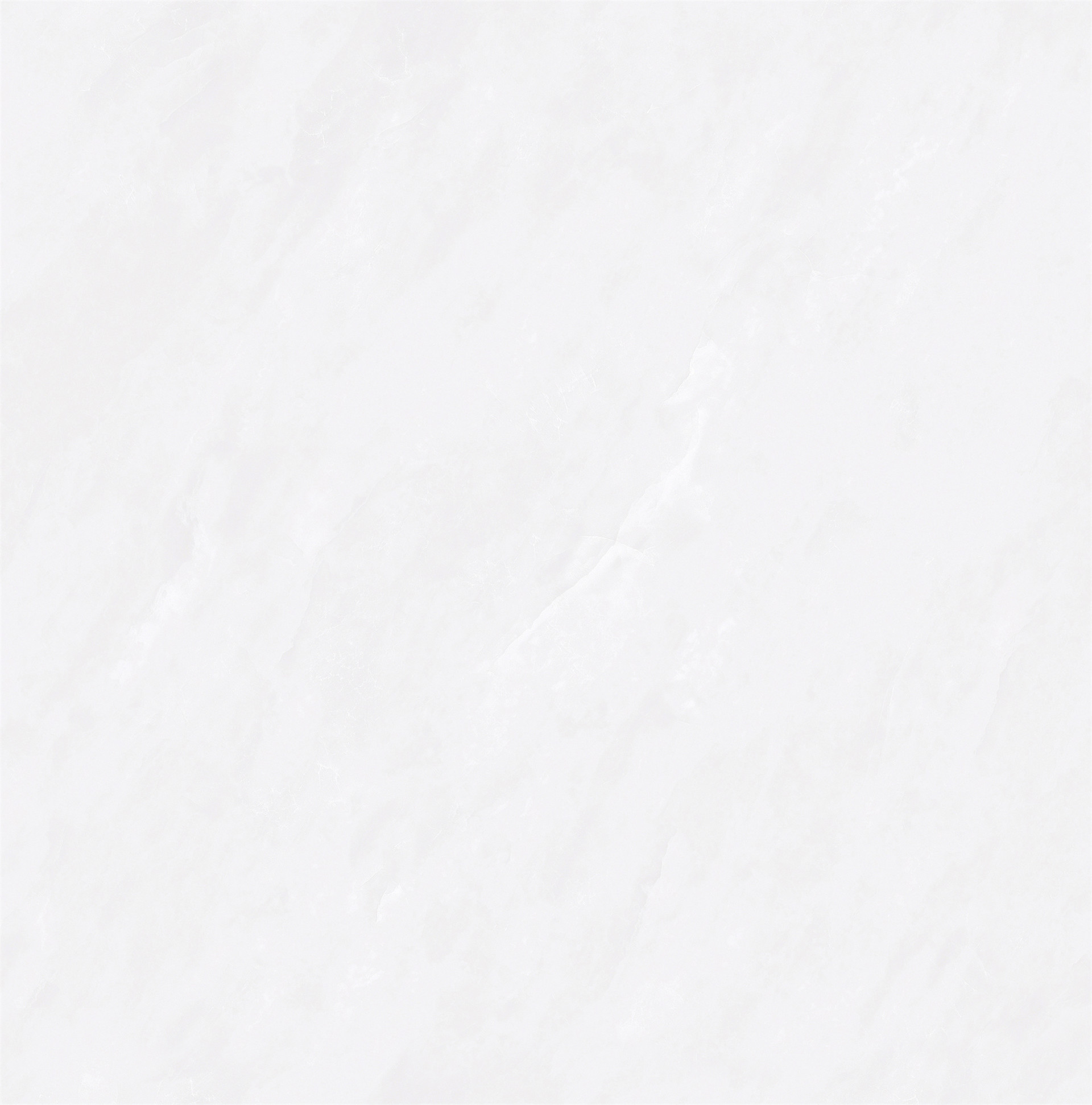 8LWP-139A阿爾諾-3.jpg